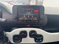 Fiat Panda /Pandina Cross Look Weiß - thumbnail 14