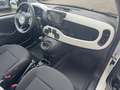 Fiat Panda /Pandina Cross Look Weiß - thumbnail 19