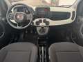 Fiat Panda /Pandina Cross Look Weiß - thumbnail 17
