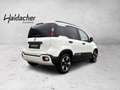 Fiat Panda /Pandina Cross Look Weiß - thumbnail 6