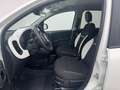 Fiat Panda /Pandina Cross Look Weiß - thumbnail 8