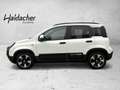 Fiat Panda /Pandina Cross Look Weiß - thumbnail 3
