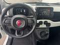 Fiat Panda /Pandina Cross Look Weiß - thumbnail 11