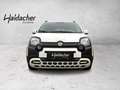 Fiat Panda /Pandina Cross Look Weiß - thumbnail 2