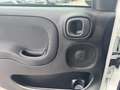 Fiat Panda /Pandina Cross Look Weiß - thumbnail 15