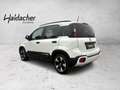 Fiat Panda /Pandina Cross Look Weiß - thumbnail 4