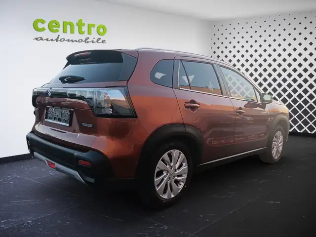 Suzuki S-Cross view 6