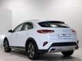Kia XCeed 1.6 GDi PHEV 104kW (141CV) eDrive Blanco - thumbnail 18