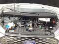 Ford E-Transit Custom 320 L1H1 LKW HA Trend (V710/NXN) Blanc - thumbnail 16
