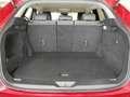 Mazda CX-60 3.3L e-SKYACTIV D AWD HOMURA CON/DRI Aut. Rot - thumbnail 14