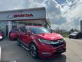 Honda CR-V 1.5-TURBO EXECUTIVE 4WD AUTO Rouge - thumbnail 1