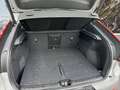 Volvo C40 Recharge niet ingeschreven demo , Twin Motor 4x4 Argent - thumbnail 13