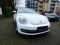 Volkswagen Beetle Cup  GARANTIE Blanc - thumbnail 2