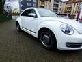 Volkswagen Beetle Cup  GARANTIE Blanc - thumbnail 3