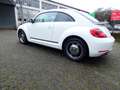 Volkswagen Beetle Cup  GARANTIE Blanc - thumbnail 6