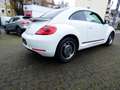 Volkswagen Beetle Cup  GARANTIE Blanc - thumbnail 5
