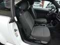 Volkswagen Beetle Cup  GARANTIE Blanc - thumbnail 9