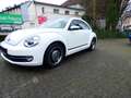 Volkswagen Beetle Cup  GARANTIE Blanc - thumbnail 7