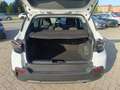 Jeep Avenger Avenger 1.2 Turbo 100 CV MHEV Longitude Blanc - thumbnail 7