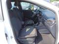 Ford Puma 1.0 ecoboost h ST-Line s&s 125cv Bianco - thumbnail 10