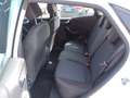 Ford Puma 1.0 ecoboost h ST-Line s&s 125cv Bianco - thumbnail 7