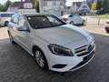 Mercedes-Benz A 180 Style Kamera Navi AHK PDC BI-Xenon Blanc - thumbnail 4