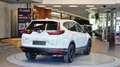 Honda CR-V 4WD Hybrid Aut. *Digital-Tacho*Kamera*Navi*18Zoll* Weiß - thumbnail 8