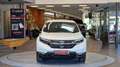Honda CR-V CR-V 4WD Hybrid Aut. *Digital-Tacho*Kamera*Navi*18 Weiß - thumbnail 14