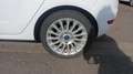 Ford Fiesta 1.0 EcoBoost 100 Titanium - 5 places Blanc - thumbnail 19