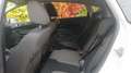 Ford Fiesta 1.0 EcoBoost 100 Titanium - 5 places Blanc - thumbnail 9