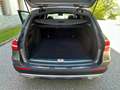 Mercedes-Benz E 220 E 220 d T All-Terrain 4MATIC Aut. All-Terrain Grau - thumbnail 49