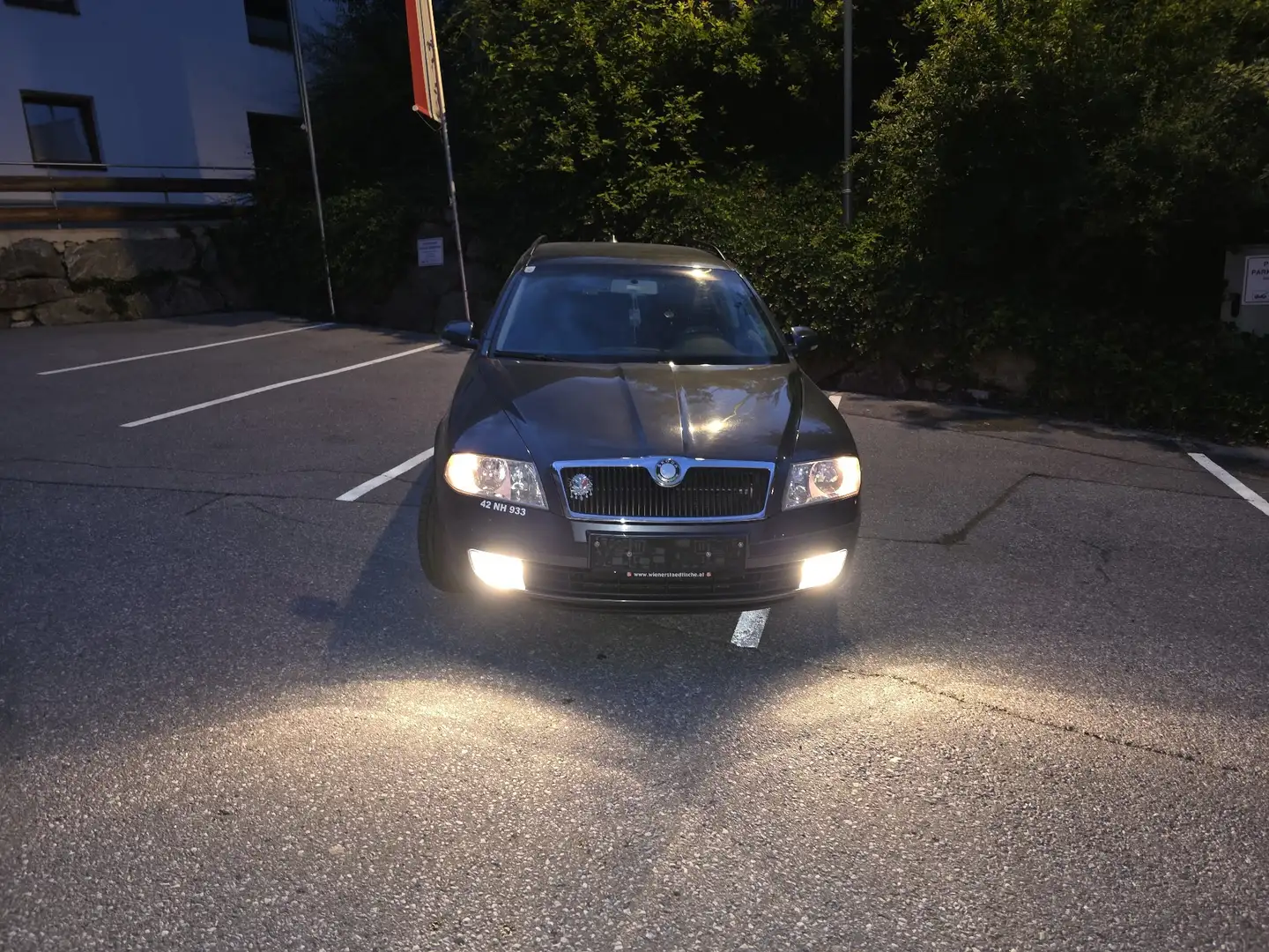 Skoda Octavia Combi 1.9 TDI DPF Elegance 4x4 - 1