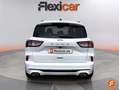 Ford Kuga ST-Line+1.5T+EcoBoost+110kW+%28150CV%29 Blanco - thumbnail 9