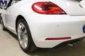 Volkswagen Beetle 1.4 TSI Design ZEER NETTE-AUTO-LEER-DEALER ONDERHO Wit - thumbnail 8