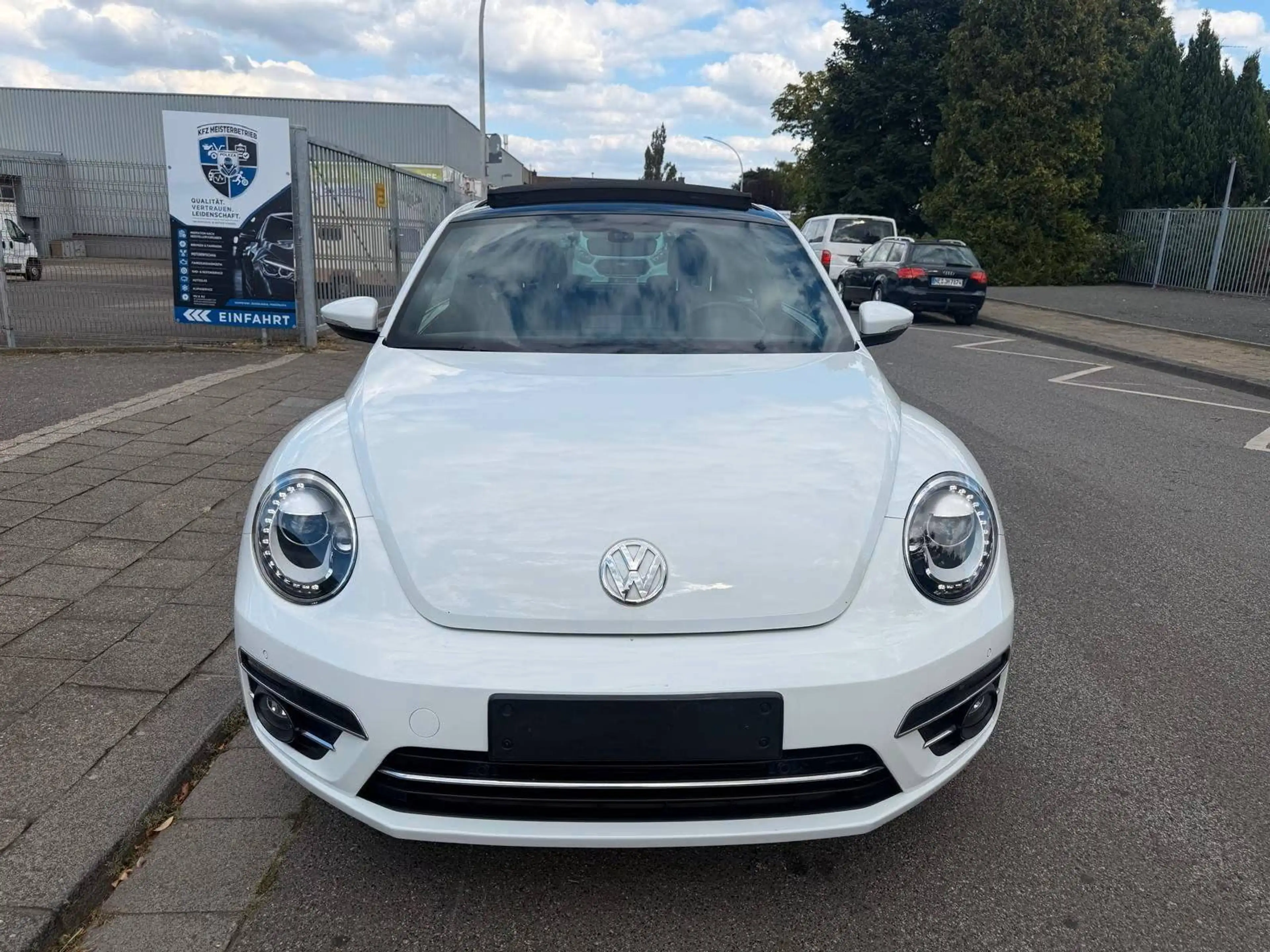 Volkswagen Beetle Allstar — photo 8