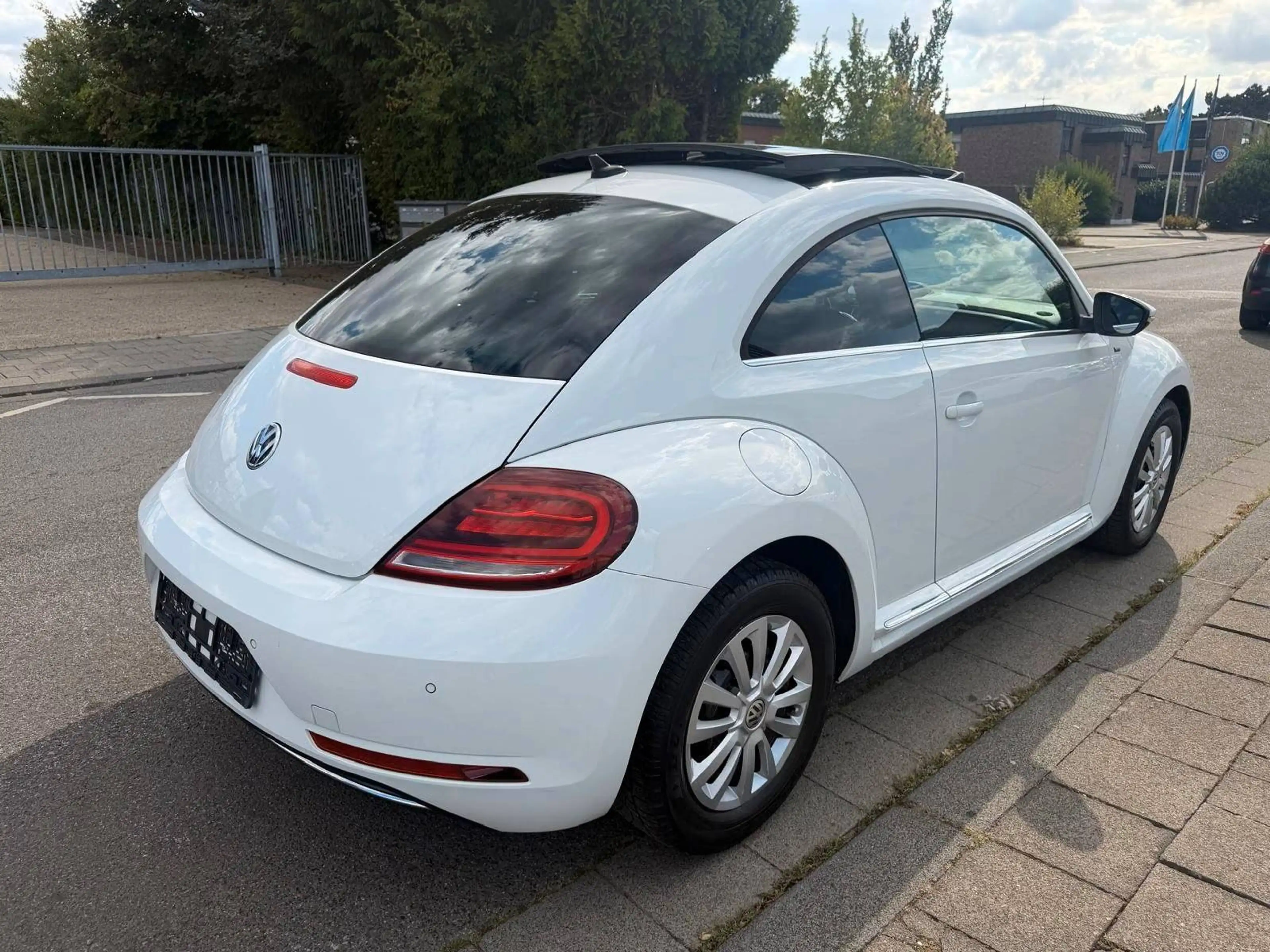 Volkswagen Beetle Allstar — photo 5