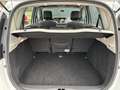 Renault Scenic 1.6 Expression 1e Eigenaar,Navi,Airco,Cruise,LM Ve Wit - thumbnail 10