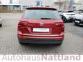 Volkswagen Tiguan Sound BMTStart-Stopp DSG ACC Navi 1.Hd. Rot - thumbnail 5