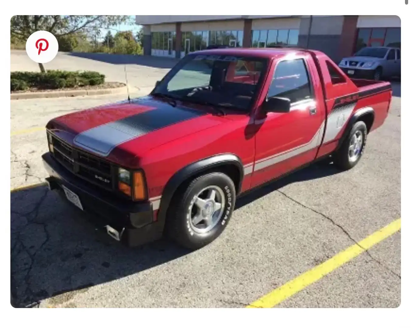 Dodge Dakota Shelby Rot - 1