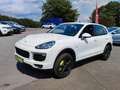Porsche Cayenne S  HYBRID*1.Hand*Unfallfrei*MWST*333PS Weiß - thumbnail 3