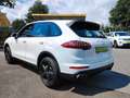 Porsche Cayenne S  HYBRID*1.Hand*Unfallfrei*MWST*333PS Weiß - thumbnail 5