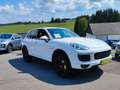 Porsche Cayenne S  HYBRID*1.Hand*Unfallfrei*MWST*333PS Weiß - thumbnail 1
