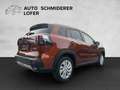 Suzuki S-Cross 1,4 DITC 6AT Hybrid 48V ALLGRIP shine Braun - thumbnail 5