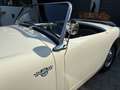 Austin-Healey Sprite MK 1 Frogeye den besten den es zu kaufen gibt bijela - thumbnail 1