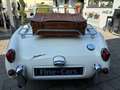 Austin-Healey Sprite MK 1 Frogeye den besten den es zu kaufen gibt bijela - thumbnail 9