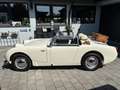 Austin-Healey Sprite MK 1 Frogeye den besten den es zu kaufen gibt bijela - thumbnail 15