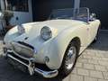 Austin-Healey Sprite MK 1 Frogeye den besten den es zu kaufen gibt Blanc - thumbnail 19