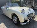 Austin-Healey Sprite MK 1 Frogeye den besten den es zu kaufen gibt bijela - thumbnail 14