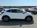Ford Puma 1.0 Ecoboost mHEV Titanium Weiß - thumbnail 4