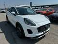 Ford Puma 1.0 Ecoboost mHEV Titanium Weiß - thumbnail 3